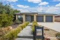 Property photo of 35 Rissmann Drive Horsham VIC 3400