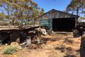 Property photo of 16 McNamara Road Minnipa SA 5654