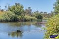 Property photo of 142 Andersons Road Castle Doyle NSW 2350