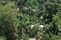 Property photo of 16-18 Buckley Street Yorkeys Knob QLD 4878