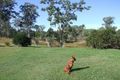 Property photo of 25 Bronzewyn Court Moolboolaman QLD 4671