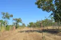 Property photo of 11 Little Road Eva Valley NT 0822