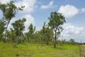 Property photo of 11 Little Road Eva Valley NT 0822