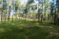 Property photo of LOT 85 Arbortwentythree Road Glenwood QLD 4570