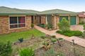 Property photo of 27 Millwood Terrace Springfield QLD 4300