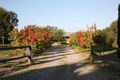 Property photo of 33 Holmes Road Oakford WA 6121
