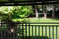 Property photo of 239 Broadwater Avenue West Maroochydore QLD 4558