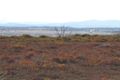 Property photo of 295 Centre Road Raymond Island VIC 3880