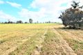 Property photo of 3631 Murray Valley Highway Cobram VIC 3644