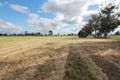 Property photo of 3631 Murray Valley Highway Cobram VIC 3644