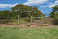 Property photo of 15 Addison Road Culburra Beach NSW 2540
