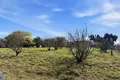Property photo of 529 Olympic Highway Young NSW 2594