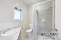 Property photo of 111 Eyre Street Ballarat Central VIC 3350