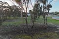 Property photo of LOT 307 Katanning-Nyabing Road Katanning WA 6317