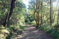 Property photo of 1209 Dalrymple Road Dalrymple Heights QLD 4757