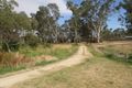 Property photo of 10 Panorama Crescent Naracoorte SA 5271