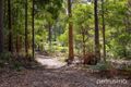 Property photo of 225 Fyfes Road Mountain River TAS 7109