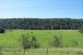 Property photo of 222 Mitchells Road Sackville North NSW 2756