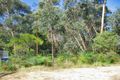 Property photo of 44 Cliff Drive Katoomba NSW 2780