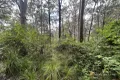 Property photo of LOT 1729 Allandale Crescent North Arm Cove NSW 2324