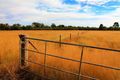 Property photo of 337 Gun Club Road Narrabri NSW 2390