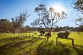 Property photo of 42 Bernedale Way Duncraig WA 6023