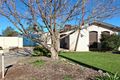 Property photo of 7 Lydia Avenue Ingle Farm SA 5098