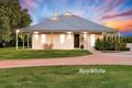 Property photo of 970 Irymple Avenue Irymple VIC 3498