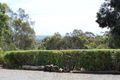 Property photo of 29 Saint Matthews Street Willunga SA 5172