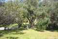 Property photo of 20 Yootha Court Rye VIC 3941