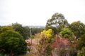 Property photo of 35 Buena Vista Avenue Denistone NSW 2114