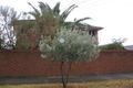 Property photo of 768 Old Calder Highway Keilor VIC 3036