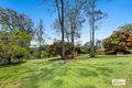 Property photo of 25 Plumbs Road Tanah Merah QLD 4128