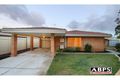 Property photo of 14B Park Lane Kardinya WA 6163