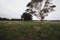 Property photo of 17 Yarima Road Cressy VIC 3322