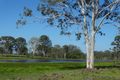 Property photo of 254 Tableland Road Taunton QLD 4674