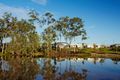 Property photo of 7 Salt Court Boyne Island QLD 4680