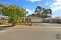 Property photo of 14 Maple Avenue Nuriootpa SA 5355