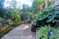 Property photo of 6 Rosser Street Rozelle NSW 2039