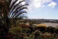Property photo of 14 Kinross Close Banora Point NSW 2486