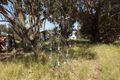Property photo of 13 Banksia Way Nilgen WA 6044