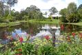 Property photo of 31 Mooloolah Meadows Drive Mooloolah Valley QLD 4553