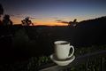 Property photo of 9 Gordon Crescent Withcott QLD 4352