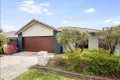 Property photo of 11 Danbulla Street Pimpama QLD 4209