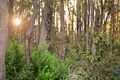Property photo of 2 Oracle Vista Cowaramup WA 6284