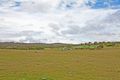 Property photo of 1300 Norton Road Wamboin NSW 2620