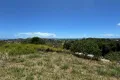 Property photo of 31 Florence Street Eimeo QLD 4740
