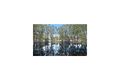 Property photo of 460 Lemon Tree Passage Road Salt Ash NSW 2318