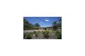 Property photo of 460 Lemon Tree Passage Road Salt Ash NSW 2318