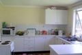 Property photo of 23 Jenkins Street Davistown NSW 2251